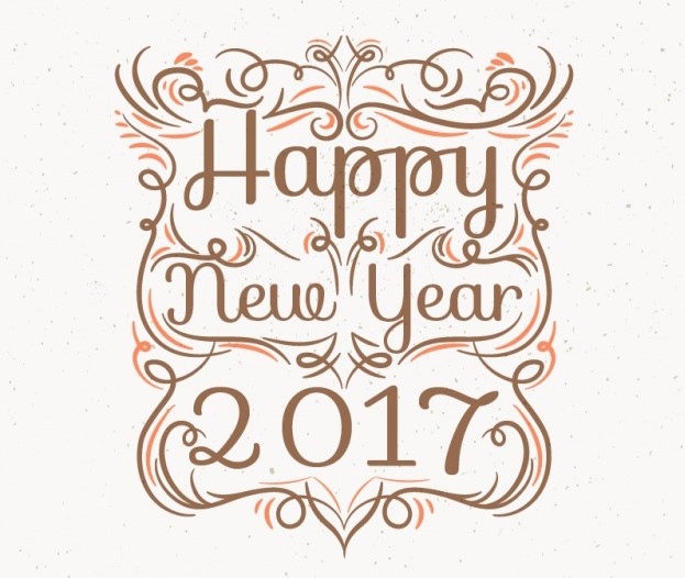 Metas de 2017!